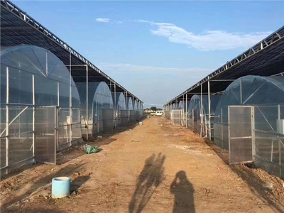 衡陽連棟溫室大棚廠價(jià)格,報(bào)價(jià)