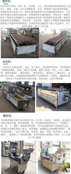 醬鹽咸菜加工全套設備及蘿卜絲壓榨機廠家解析