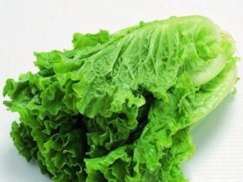 廣州市場大米、農副產品批發與大型蔬菜配送公司的全方位解析